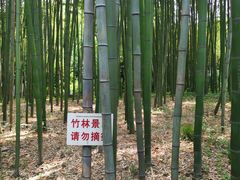 -汇龙潭