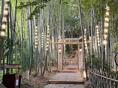 -杭州黄龙洞