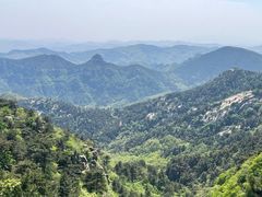 -鲁山国家森林公园