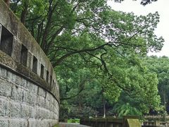 -忠山公园
