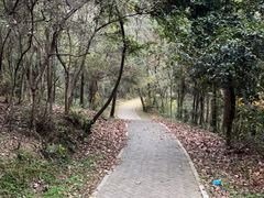 -青龙山国家森林公园