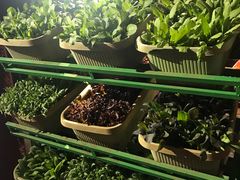-大匠工房古船木艺术餐厅·猪肚鸡专门店(长白仙岛店)