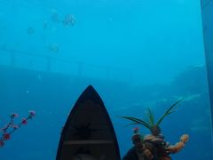 -瑞德姆美人鱼海底演艺主题餐厅(亚龙湾店)