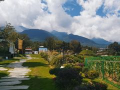-云禾壹海景庄园餐厅