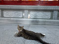 -宝通禅寺