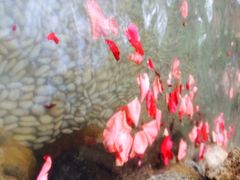 iphone_upload_pic-厦门日月谷温泉渡假村