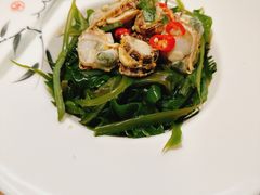 -波螺油子·海肠捞饭·青岛菜(银座店)