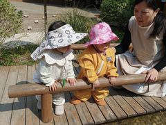 -蒙蒙狮蒙台梭利儿童之家