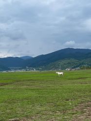 -纳帕海依拉草原