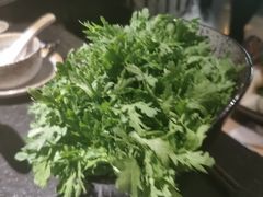 -新草堂锅物料理(泉城路店)
