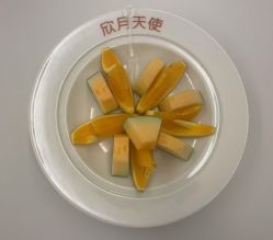 -欣月天使月子中心(西城店)