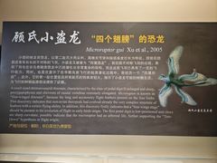 -辽宁古生物博物馆