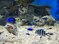 -福州罗源湾海洋世界旅游区