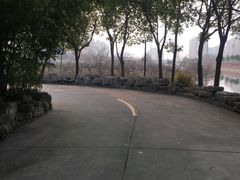 -安飞驰驾校·学车连锁(金高店)
