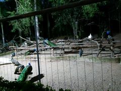 -深圳野生动物园