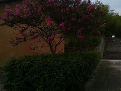 -李先念故居纪念园