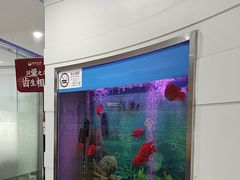 -雅悦齿科(顾村公园店)