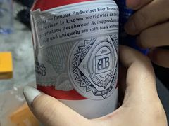 -阿捡忭京炸鸡(韭菜园总店)