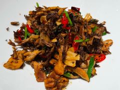 傣味珊瑚菌-一坐一忘云南菜(三里屯店)