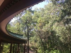 -榴花公园