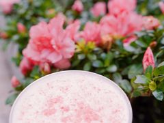 -COSTA COFFEE(静安嘉里中心店)