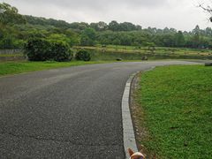 -松山湖南湖湾露营营地