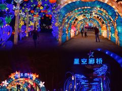 -欢乐海岸椰林沙滩-2025湾区超级灯会