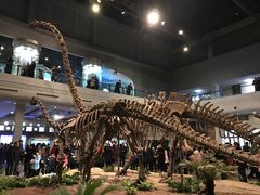 -自贡恐龙博物馆