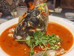 -坛宗剁椒鱼头(河西王府井店)