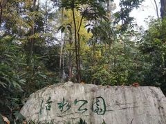 -成都市活水公园