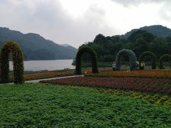 -广州市石门国家森林公园