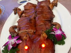 -金汇酒楼(中山东区店)