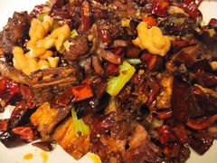 -小杨烤肉(高新店)