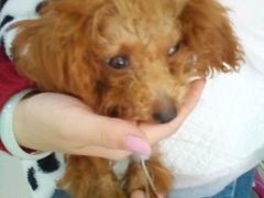 -百信宠物医院(东升街店)