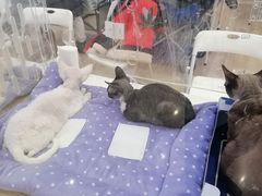-金茂览秀城