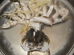 -天鹰观渔(梦园店)
