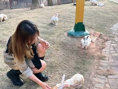 -灵玲国际马戏城