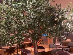 -Wagas沃歌斯(信泰中心商场店)