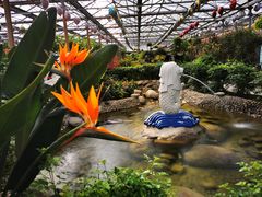 -南宫五洲植物乐园