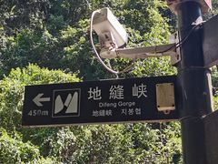 -华蓥山天意谷景区