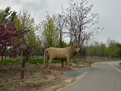 -永定河休闲森林公园