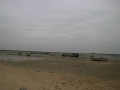 -北海金海湾红树林生态旅游区