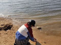 -济南国际园博园