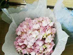 -亭亭鲜花店(中山北路店)
