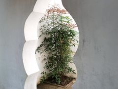 -豫园