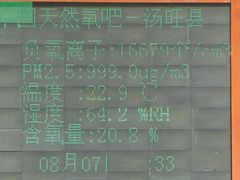 -汤旺河林海奇石景区
