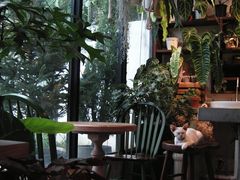 -自由生长植物工作室(深港花卉中心店)