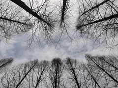 -昆山城市生态森林公园