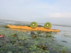 -阳澄湖半岛旅游度假区