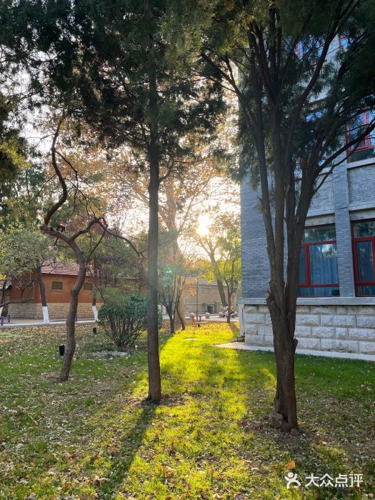 山东大学(趵突泉校区)图片